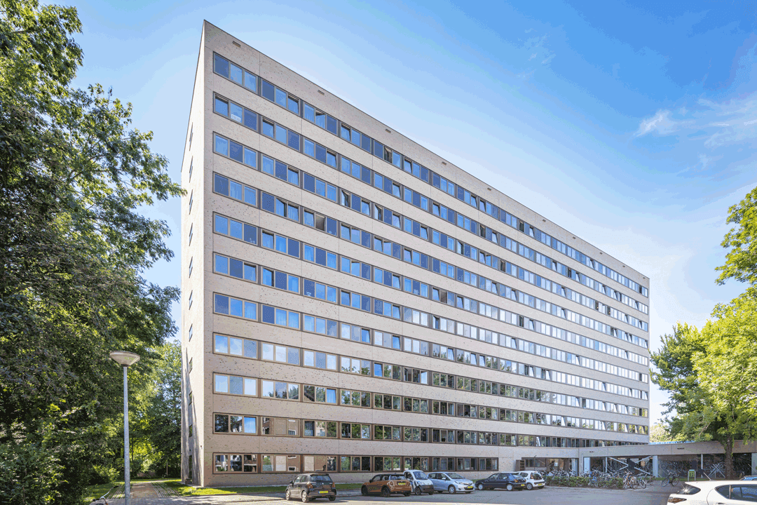 Het nieuwe thuis voor… WEBO’S Steigerloos® Elementen!